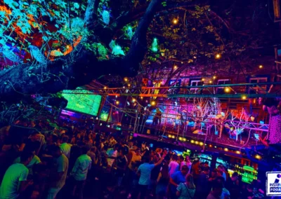 Ruin Bars: Discover Budapest’s unique nightlife scene –rental apartment astoria Budapest